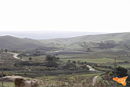 Santa Ninfa 19 11 2016 164.jpg